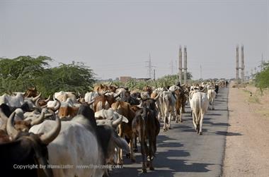 01 PKW-Reise_Kuri-Osiyan-Jodhpur_DSC3541_b_H600